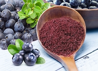 SOD-Like Blueberry Fermented Concentrate powder