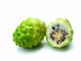 Introduction of Noni products 