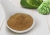 High Activity SOD-Like Fermented Concentrate Fine Powder