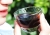 Noni Enzyme Essence Juice (Fermented Liquid)