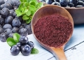 SOD-Like 藍莓醱酵濃縮粉